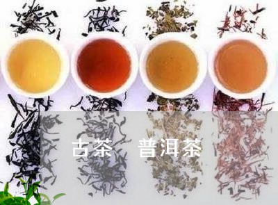 古茶 普洱茶/2023042896021